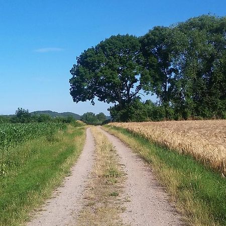 Landgasthof Zur Untermuehle Datterode Экстерьер фото