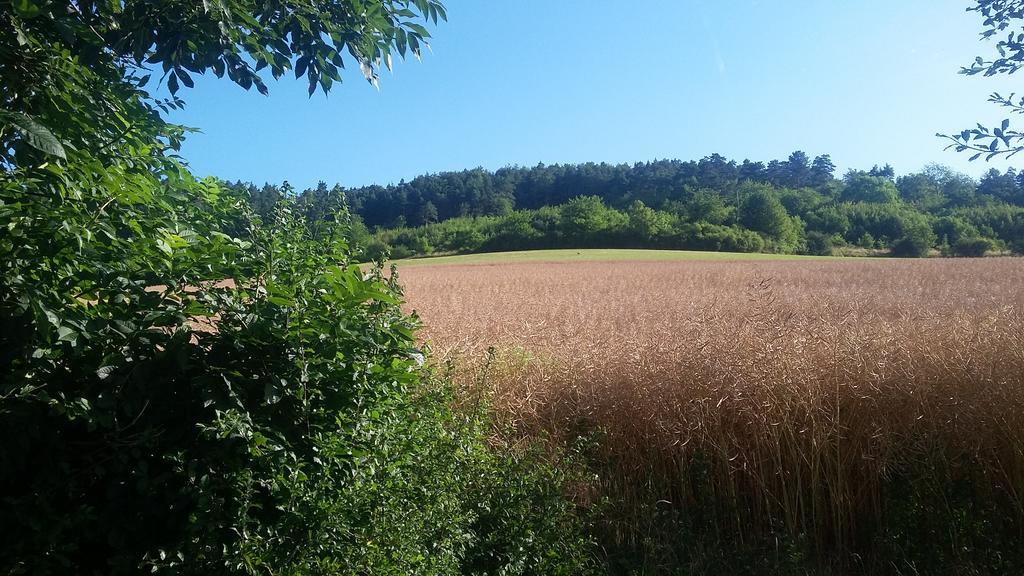 Landgasthof Zur Untermuehle Datterode Экстерьер фото