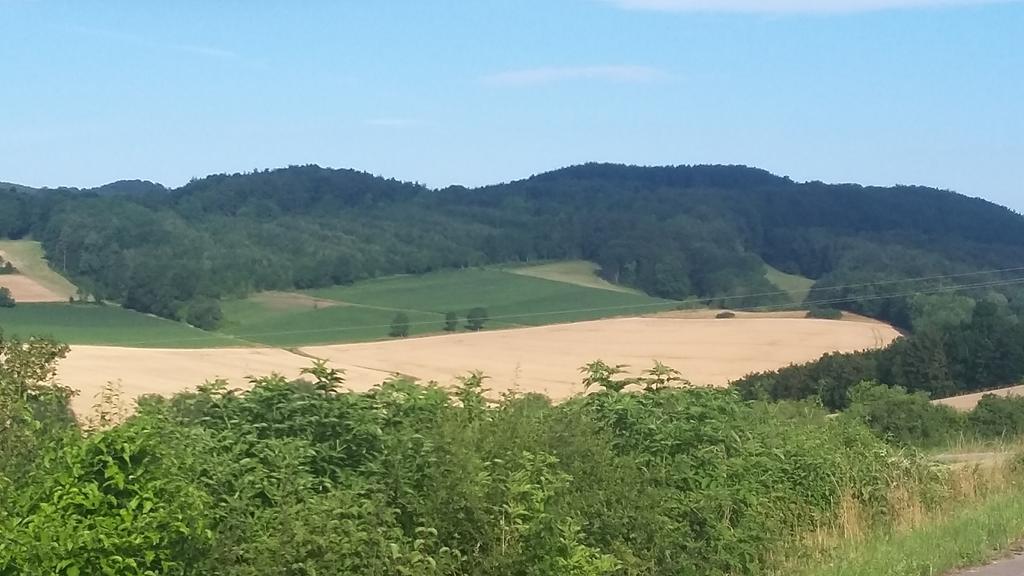 Landgasthof Zur Untermuehle Datterode Экстерьер фото