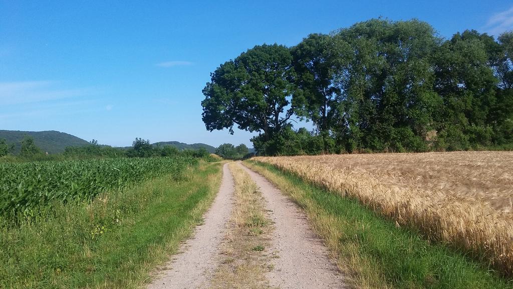 Landgasthof Zur Untermuehle Datterode Экстерьер фото